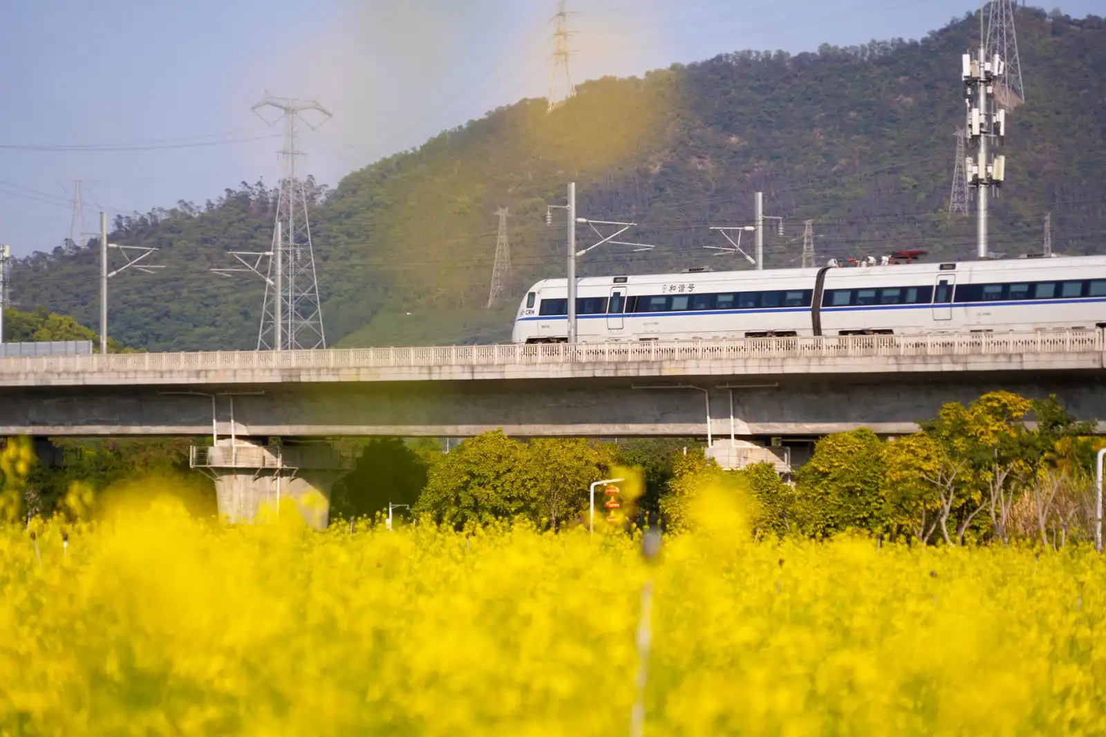 长三角产业规划报告:2025年苏州区域经济新格局与投资机会解析