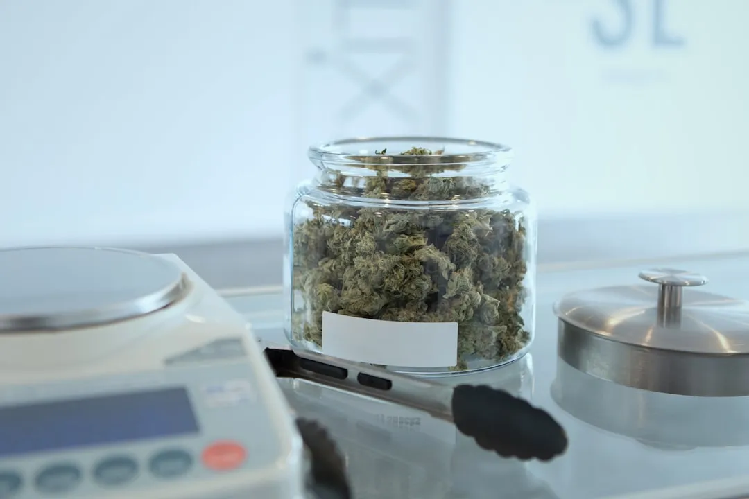 苏州工业园区产业规划报告解读:政策导向与招商策略深度解析